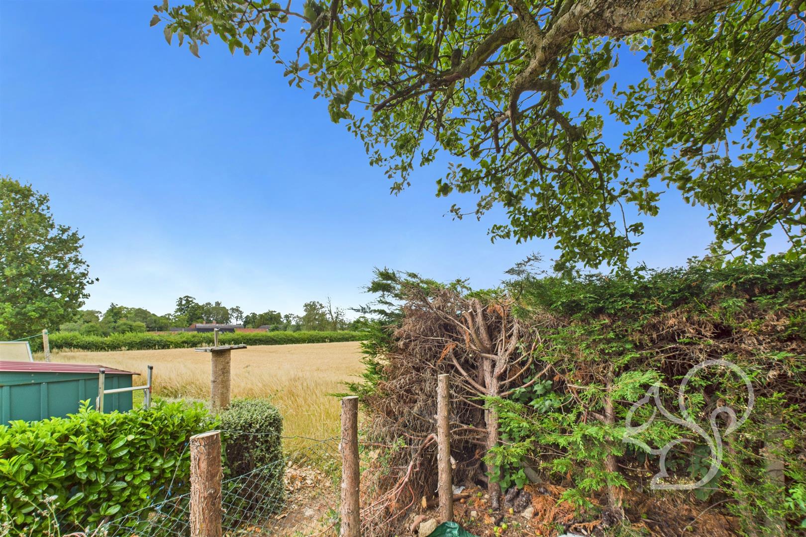 Field behind property